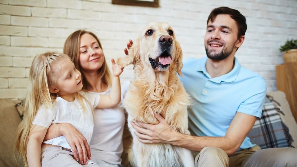 ¿Por qué nuestra mascota es un miembro importante para la familia?