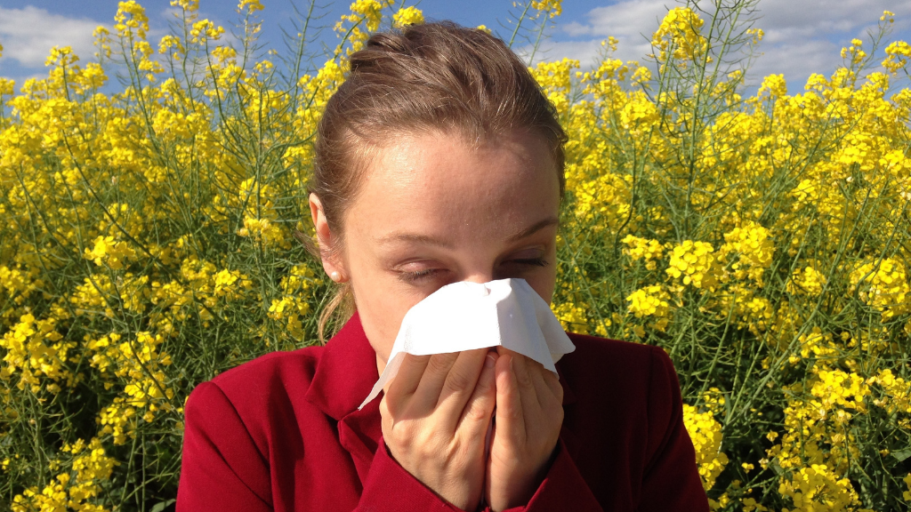 Cómo combatir la alergia a la primavera