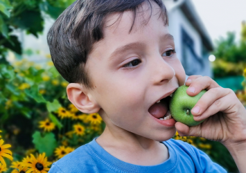 Ideas de snacks saludables para niños que aman los dulces