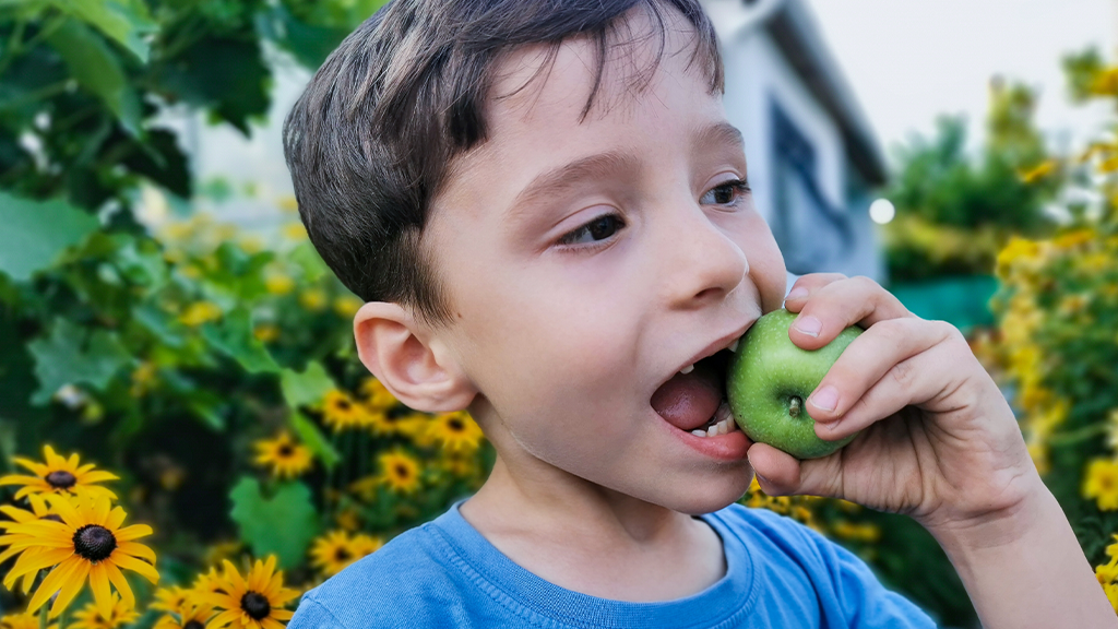 Ideas de snacks saludables para niños que aman los dulces